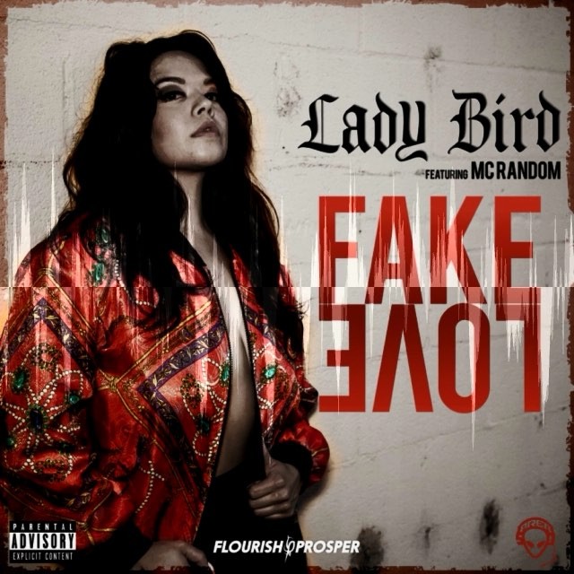 @ladybird_music drops #fakelove featuring @area51random this Friday on all digit... 1