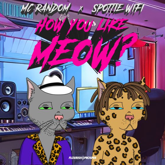 How You Like Meow? (Spottie Wifi Remix)