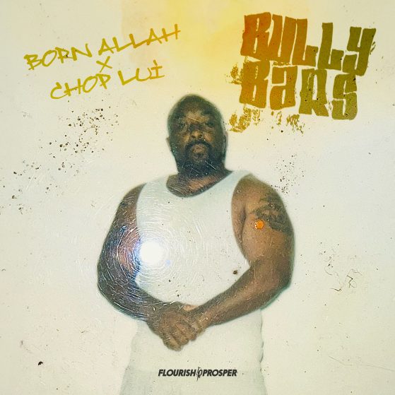 born allah chop-lui bully bars